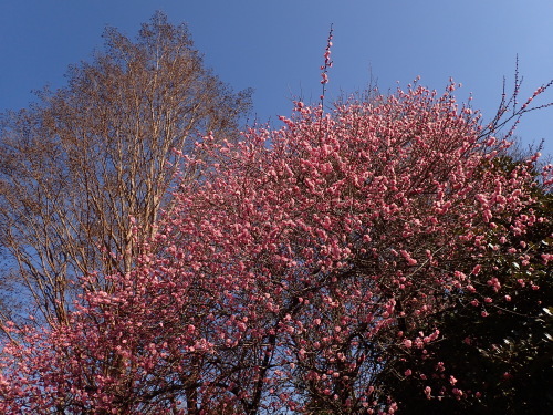 f0348480_14301048.jpg