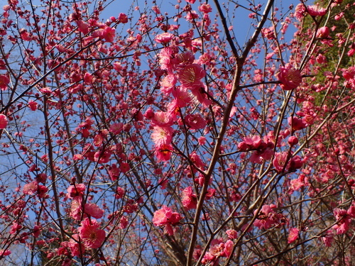 f0348480_15290492.jpg
