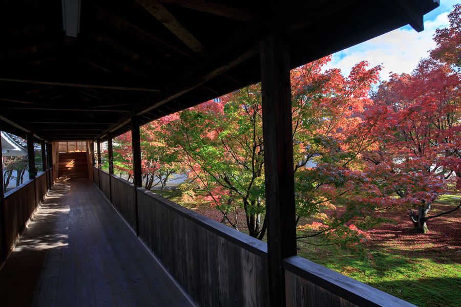 2018紅葉！　　～妙覚寺～_b0128581_19324317.jpg