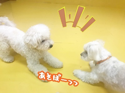 いっけめーん!_f0357682_18352822.jpg