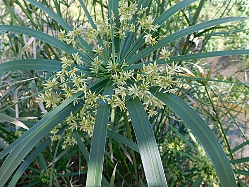 e0086885_17060170.jpg
