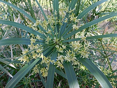 e0086885_17063380.jpg