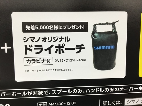 b0136703_15513717.jpeg