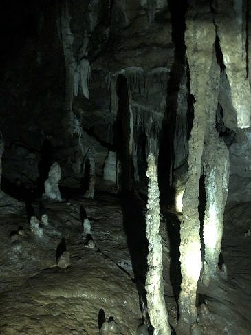 b0064411_07102616.jpg
