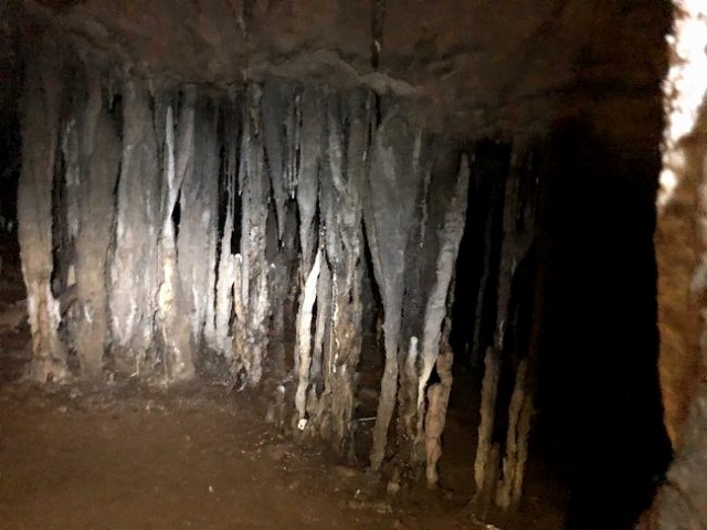 b0064411_07102638.jpg