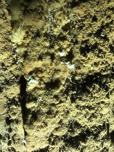 b0064411_07102679.jpg
