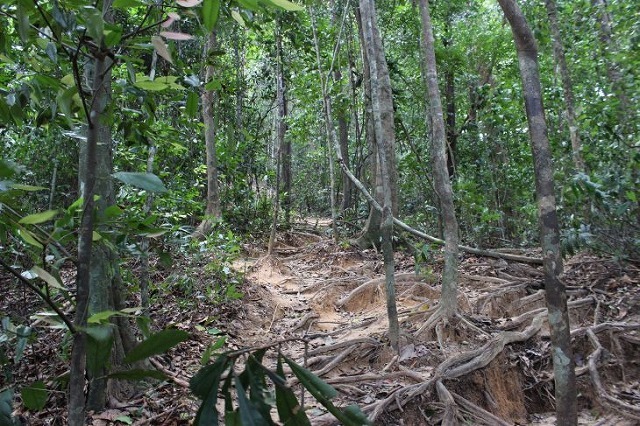 b0064411_07175575.jpg