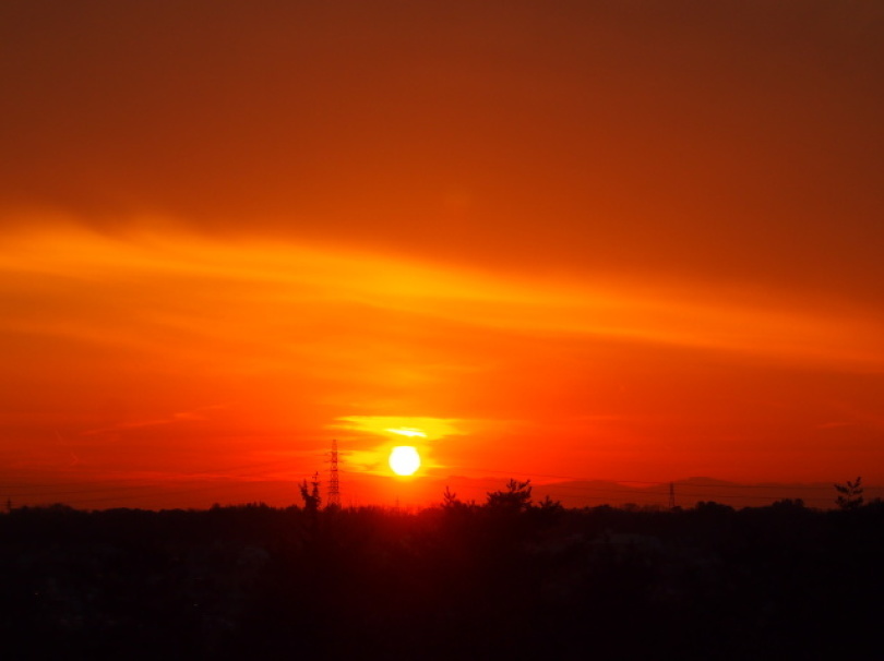 d0048812_19505085.jpg