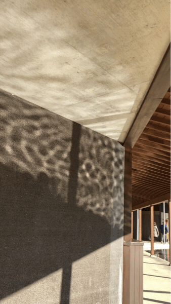 b0268815_22270012.gif
