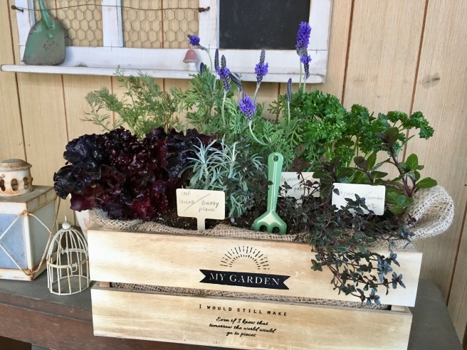 3月の寄せ植え教室 と4月5月の予定 n fleur 3月の寄せ植え教室 と4月5月の予定 n fleur