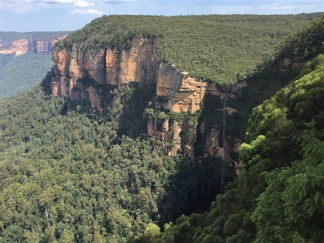 クリフトップは花と展望の崖っぷちトレイル Cliff Top Walking Track In Blue Mountains Np やっぱり自然が好き クリフトップは花と展望の崖っぷちトレイル Cliff Top Walking Track In Blue Mountains Np やっぱり自然が好き