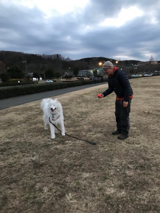 f0234023_05342944.jpeg