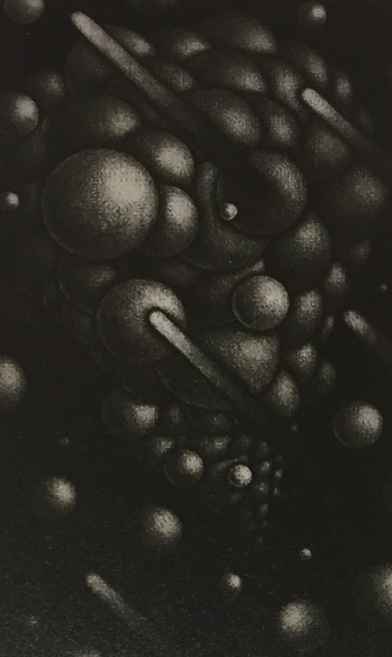 メゾチント作家の大森弘之さん♪ : ミシン刺繍オリジナルデータ制作