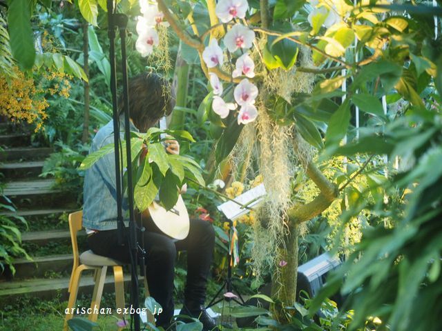牧野植物園蘭展でコンサート♫_f0295238_09190153.jpg