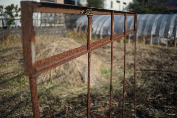 SONY α7II and A.Schacht Ulm S-Travegon 2.8/35~交換ボディとレンズのお名前_b0060239_21575100.jpeg