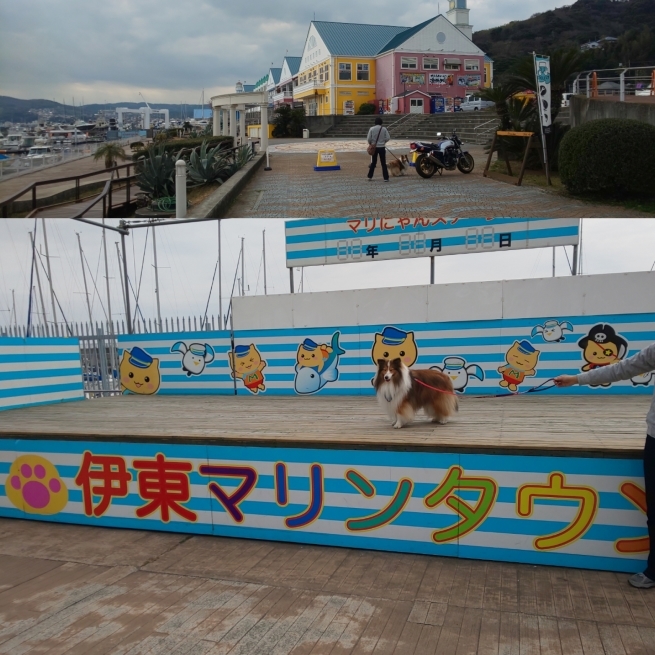 f0210439_00012368.jpg