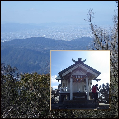 宝満山・・・葉っぱ探し~_e0164643_14371464.jpg