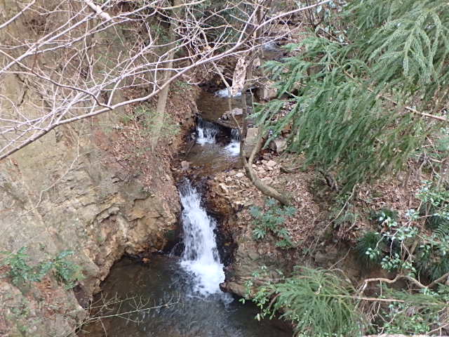 f0334143_8463322.jpg