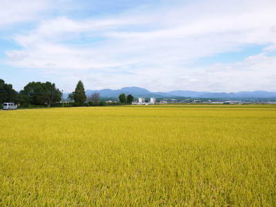 七城米　長尾農園　「天地返し」で田んぼの土つくり！毎年繰り返される惜しまぬ手間ひまで米作りスタート(2019)_a0254656_16575651.jpg