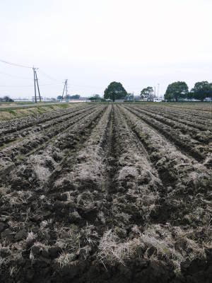 七城米　長尾農園　「天地返し」で田んぼの土つくり！毎年繰り返される惜しまぬ手間ひまで米作りスタート(2019)_a0254656_17102611.jpg