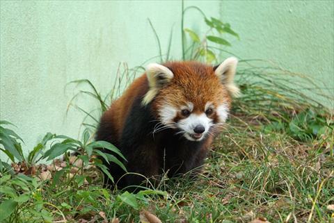 b0338756_08042030.jpg