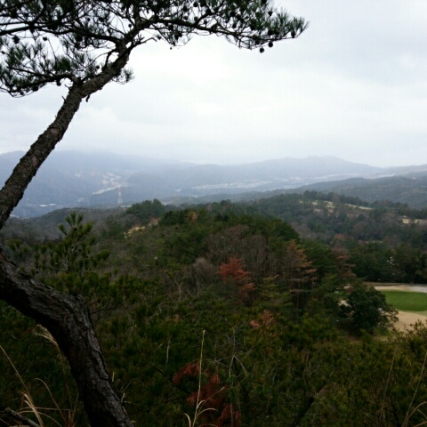 c0260463_11050562.jpg