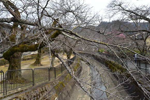 小さな家で豊かに暮らす「山科の家」建物見学会_e0164563_16132731.jpg