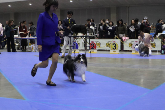 神奈川インターに参加させていただきました。_f0126965_18505972.jpg