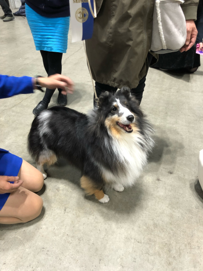 神奈川インターに参加させていただきました。_f0126965_18510173.jpg