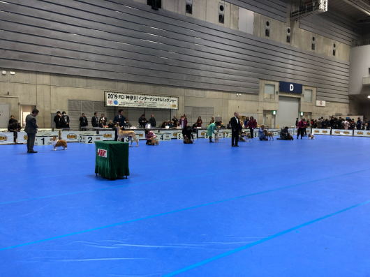 神奈川インターに参加させていただきました。_f0126965_18510290.jpg