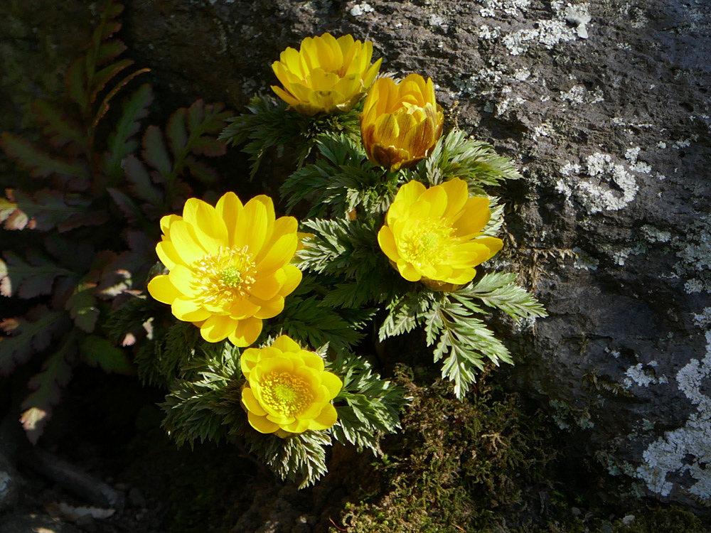 f0199866_20054666.jpg
