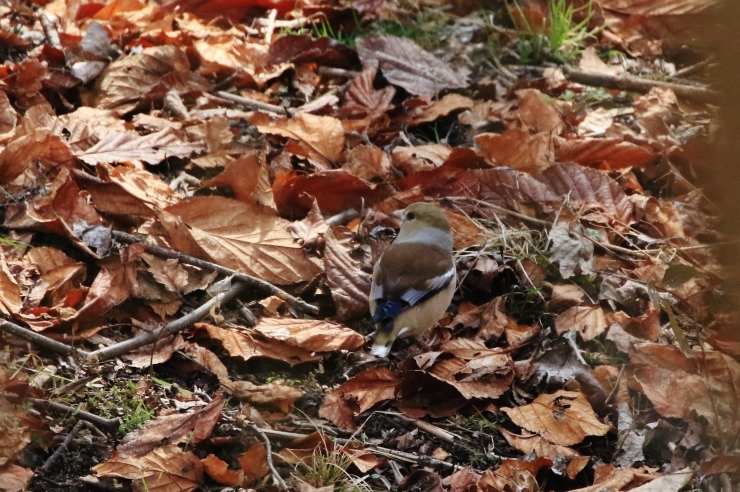 f0378282_16471059.jpg
