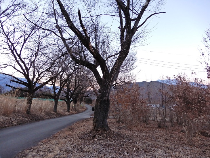 武川町F山さん邸の現場より 1_a0211886_15010793.jpg