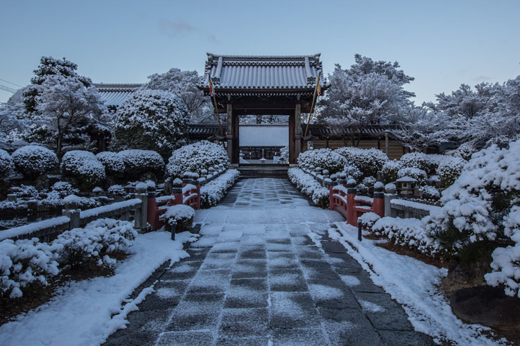 妙満寺_e0051888_21070972.jpg