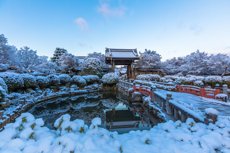 妙満寺_e0051888_21070973.jpg