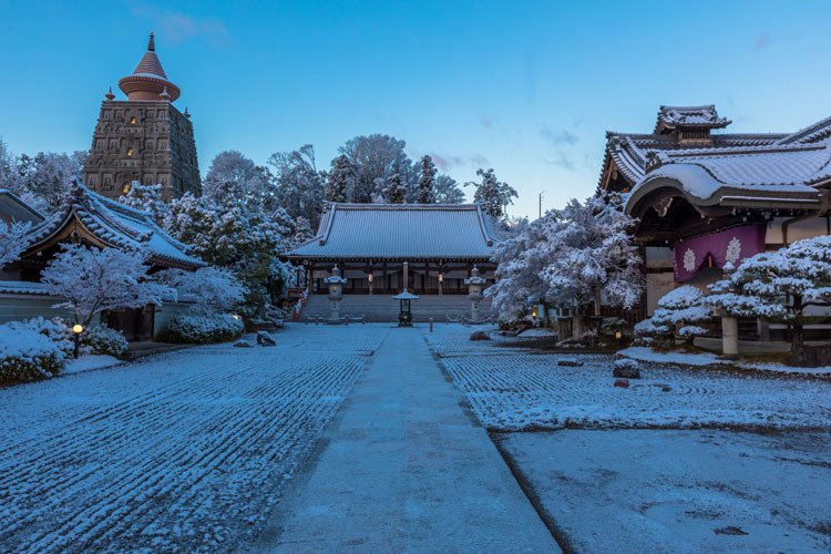 妙満寺_e0051888_21083145.jpg