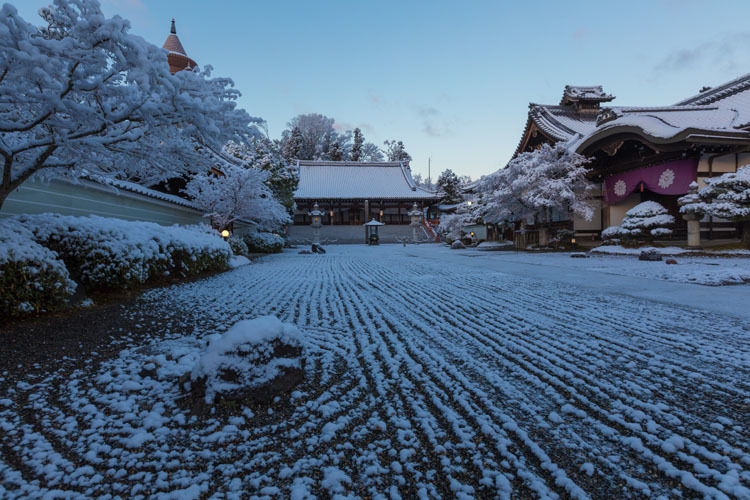 妙満寺_e0051888_21083197.jpg