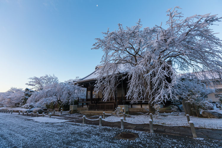 妙満寺_e0051888_21103521.jpg