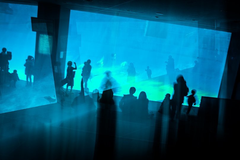重層的な光蜥蜴が棲む水族館_d0353489_15401928.jpg