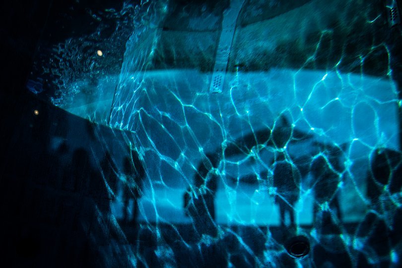 重層的な光蜥蜴が棲む水族館_d0353489_15491035.jpg