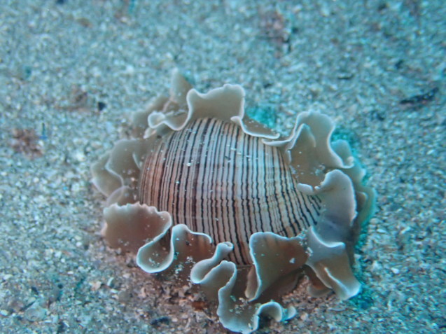 e0115199_15510691.jpg