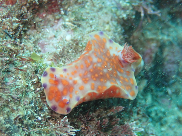 e0115199_15523407.jpg