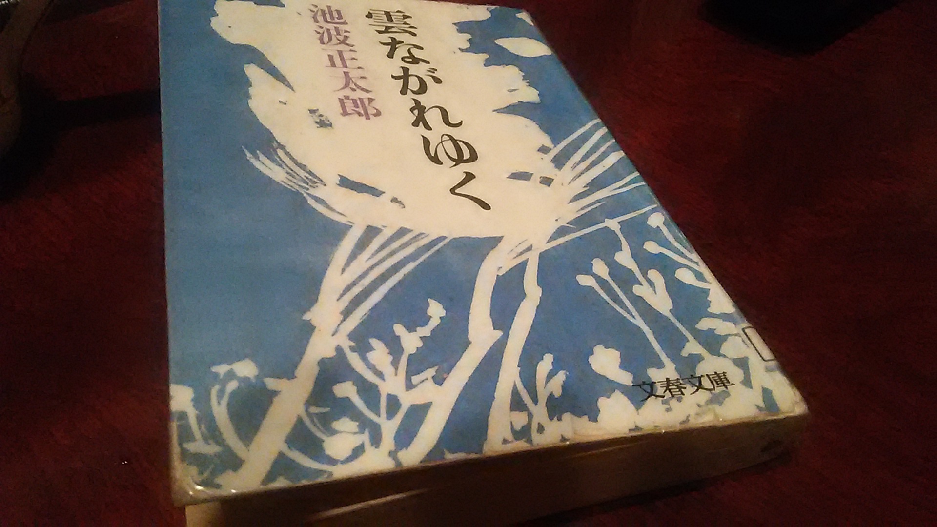 晴耕雨読を楽しむ🎵_c0280108_21412863.jpg