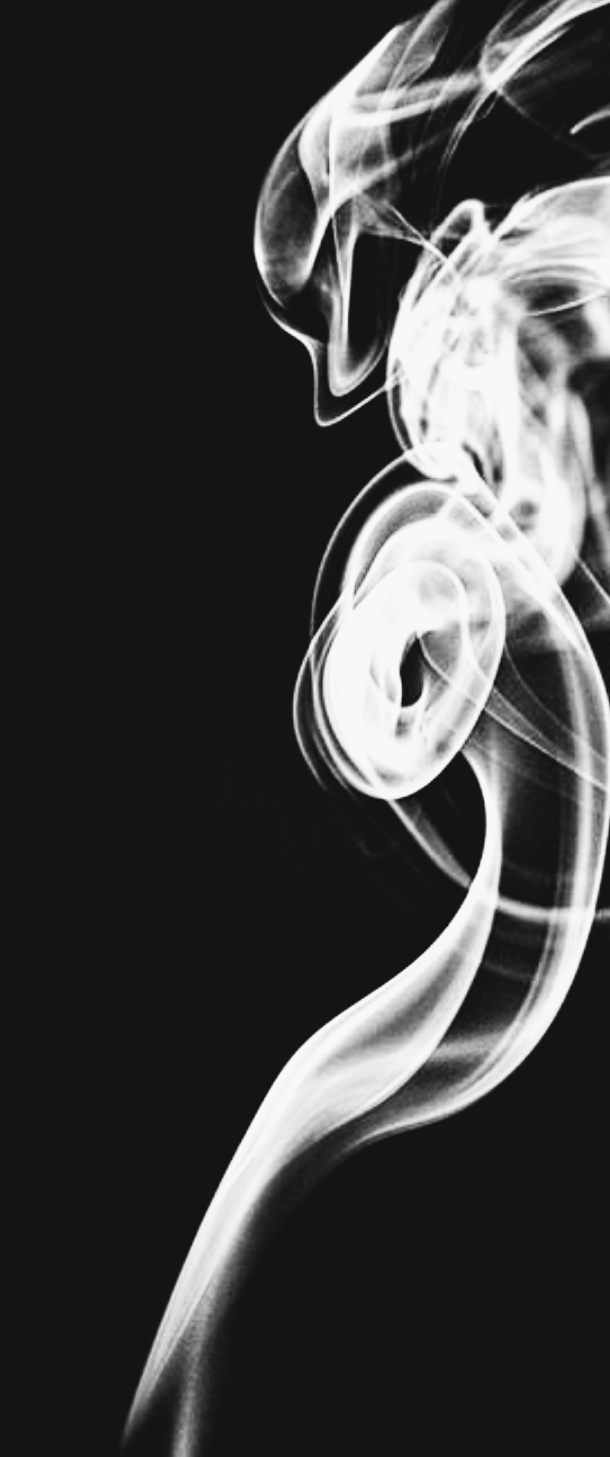e0397608_19125775.png