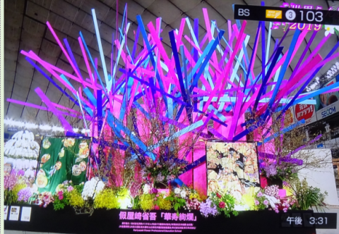 世界らん展2019~花と緑の祭典~BSプレミアム再放送…2019/2/19_f0231709_17052858.png