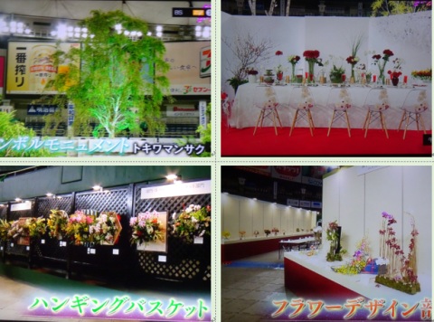 世界らん展2019~花と緑の祭典~BSプレミアム再放送…2019/2/19_f0231709_17065448.png