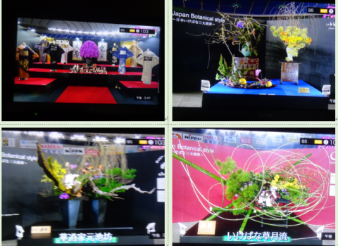 世界らん展2019~花と緑の祭典~BSプレミアム再放送…2019/2/19_f0231709_17074028.png