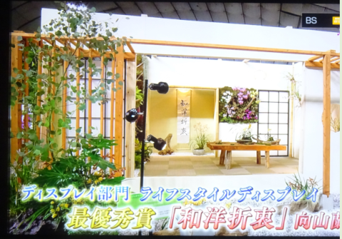 世界らん展2019~花と緑の祭典~BSプレミアム再放送…2019/2/19_f0231709_17083765.png