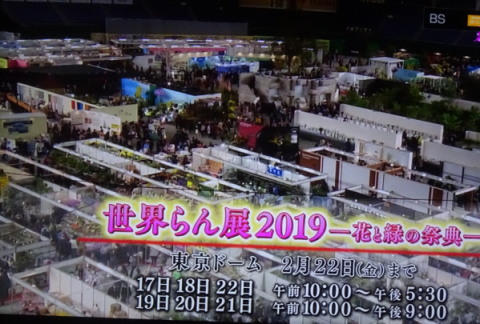 世界らん展2019~花と緑の祭典~BSプレミアム再放送…2019/2/19_f0231709_17085120.png