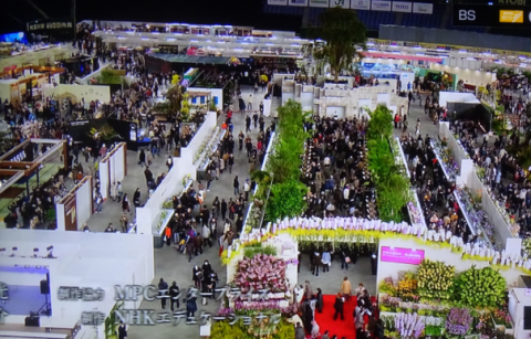 世界らん展2019~花と緑の祭典~BSプレミアム再放送…2019/2/19_f0231709_17090287.png